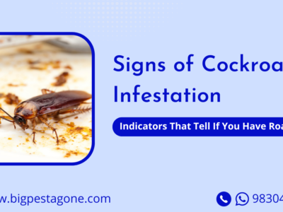 Big Pestagone BLOG Banners Signs of Cockroach Infestation