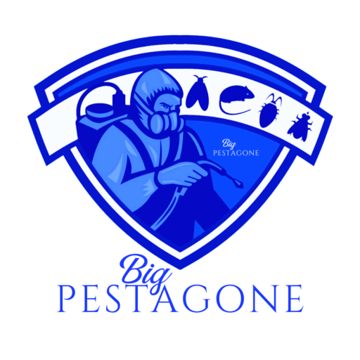 Big Pestagone